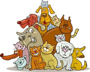 pet fire safety, pet emergency evacuation, pet emergency preparedness, fire safety tips, pet fire safety tips, home fire safety, pet emergency plan, pet evacuation plan, fire safety for pets, don't forget your pets, florida fire, florida firefighters, fl firefighters, fl fire, florida fire department