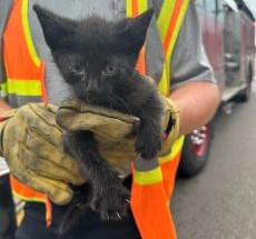 photo by Tampa Fire Rescue