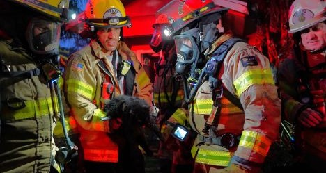photo by Tampa Fire Rescue